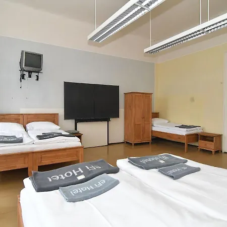 Zamek Guest house Racice-Pistovice