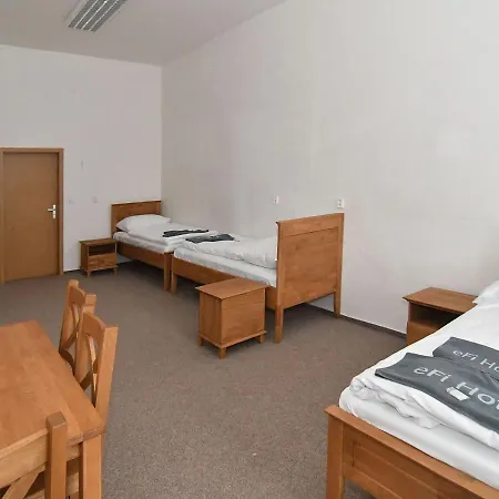 Zamek Pensionat Racice-Pistovice