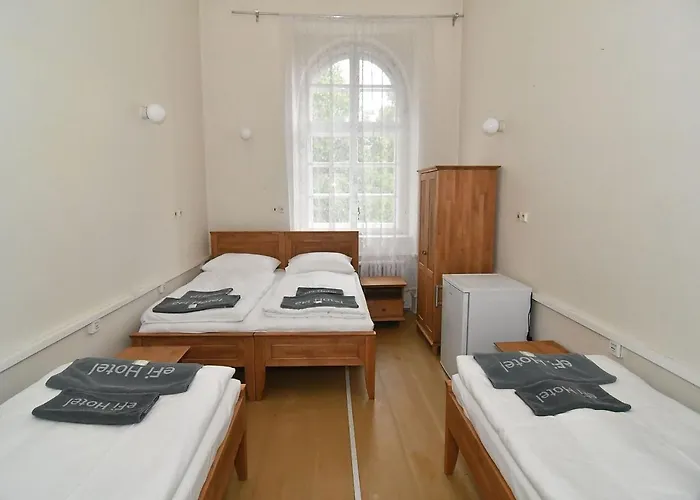 Gasthuis Zamek 3*